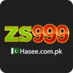 ZS999 Game